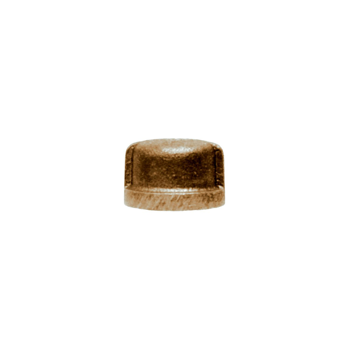 1/4 Bronze Pipe Cap