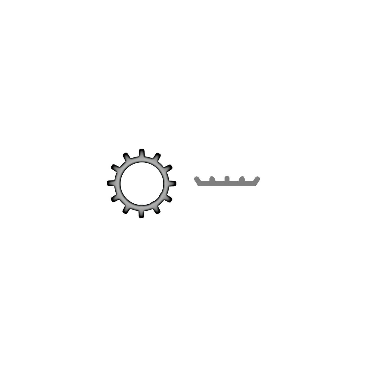 Stainless External Tooth Lock Washer
1/4"