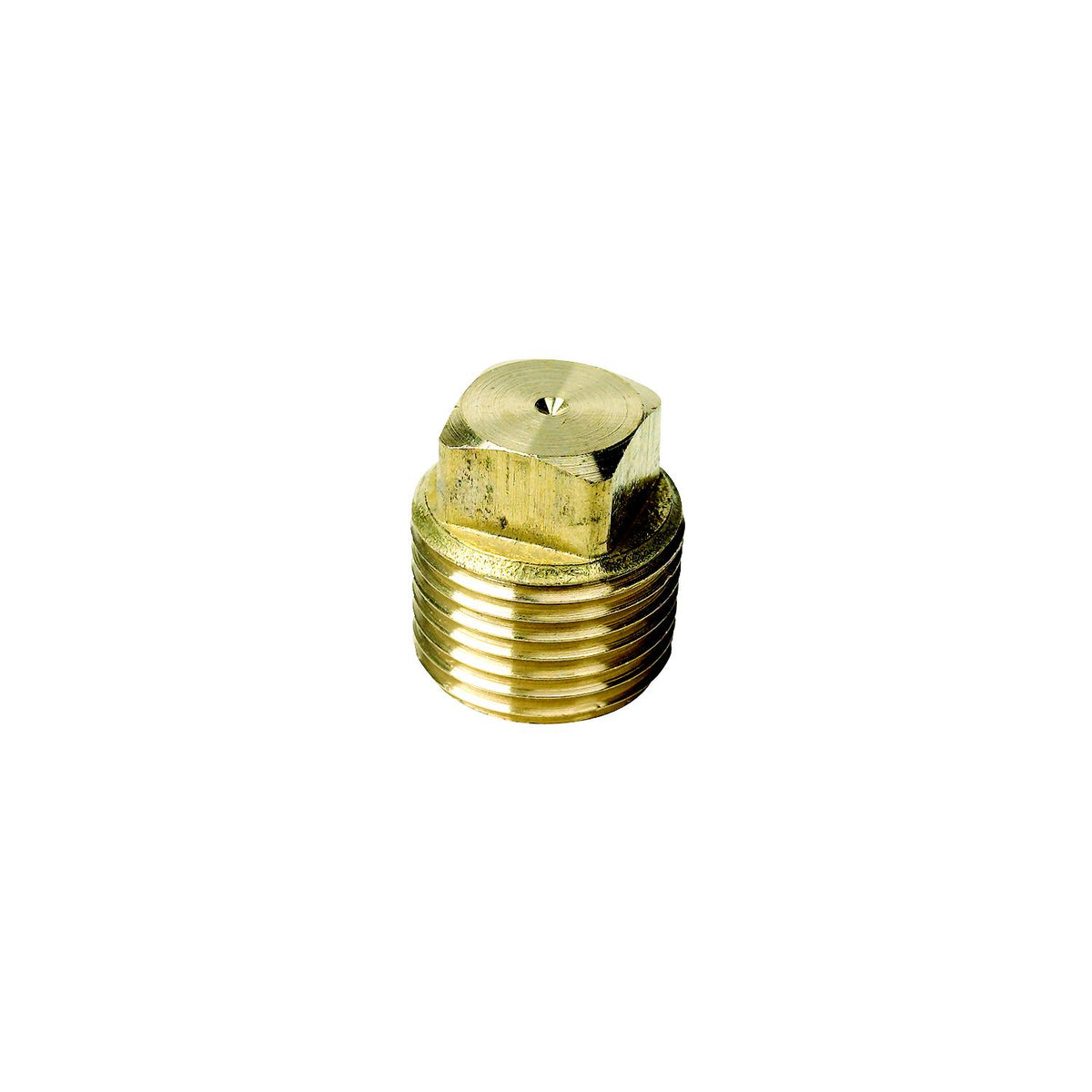 Brass Plug Only-1/2"