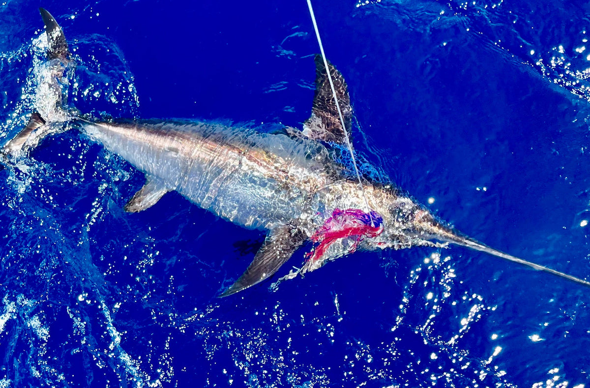 RJ Boyle Swordfish Skirts
