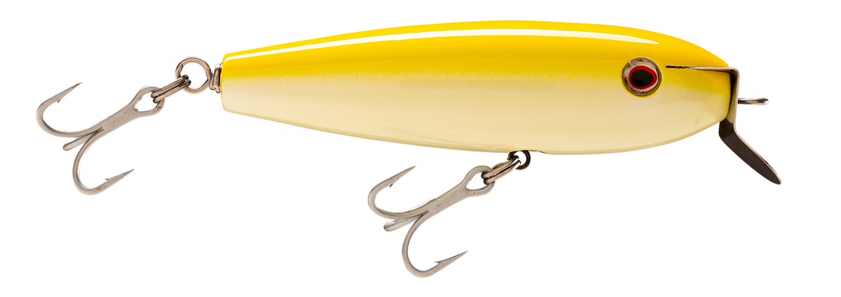 Yellow Star Peanut Swimmer