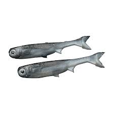 No Live Bait Needed 7" K Tail
