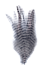 Barred Saddle Hackle
