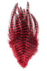 Barred Saddle Hackle