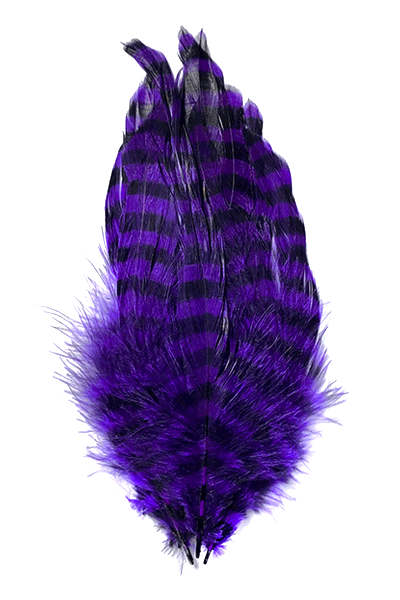Barred Schlappen Feathers