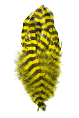 Barred Schlappen Feathers