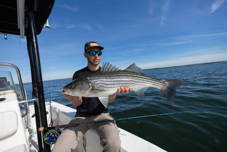 Cortland Cold Striped Bass Sinking Fly Line