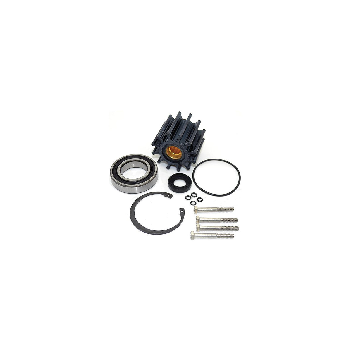 Impeller Service Kit