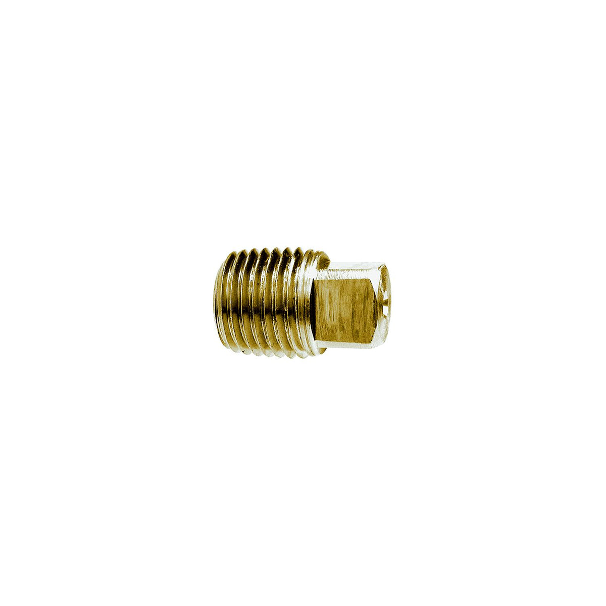 3/8 Brass Sq Head Pipe Plug