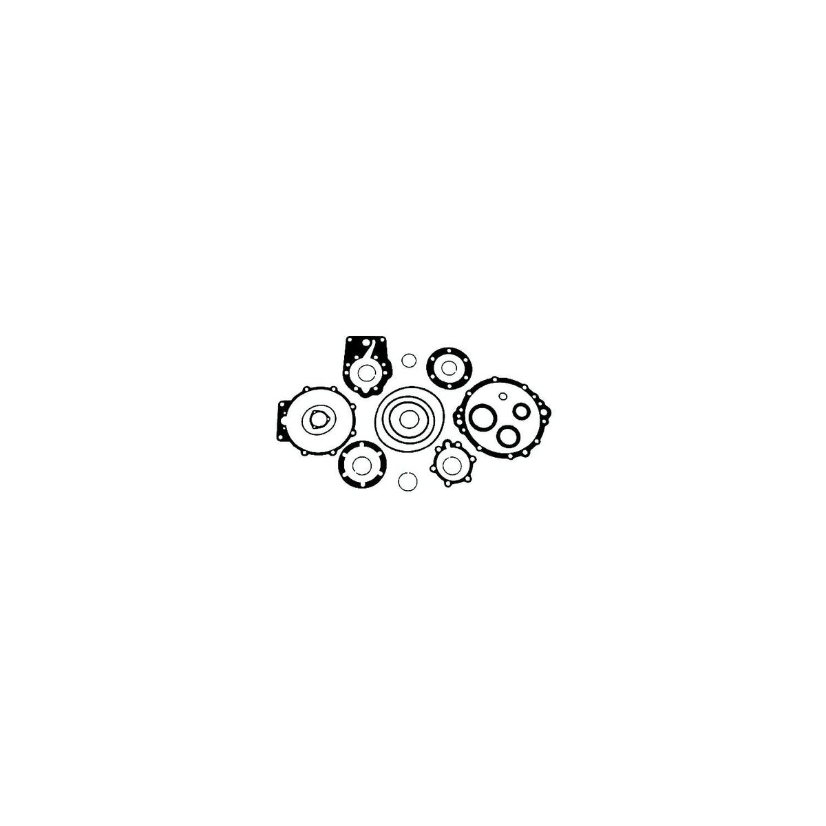 Borg-Warner Seal Kit