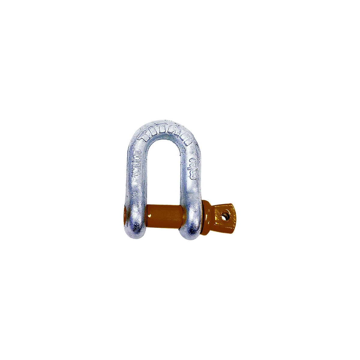 Hot Galvanized D Shackle, 1/2"