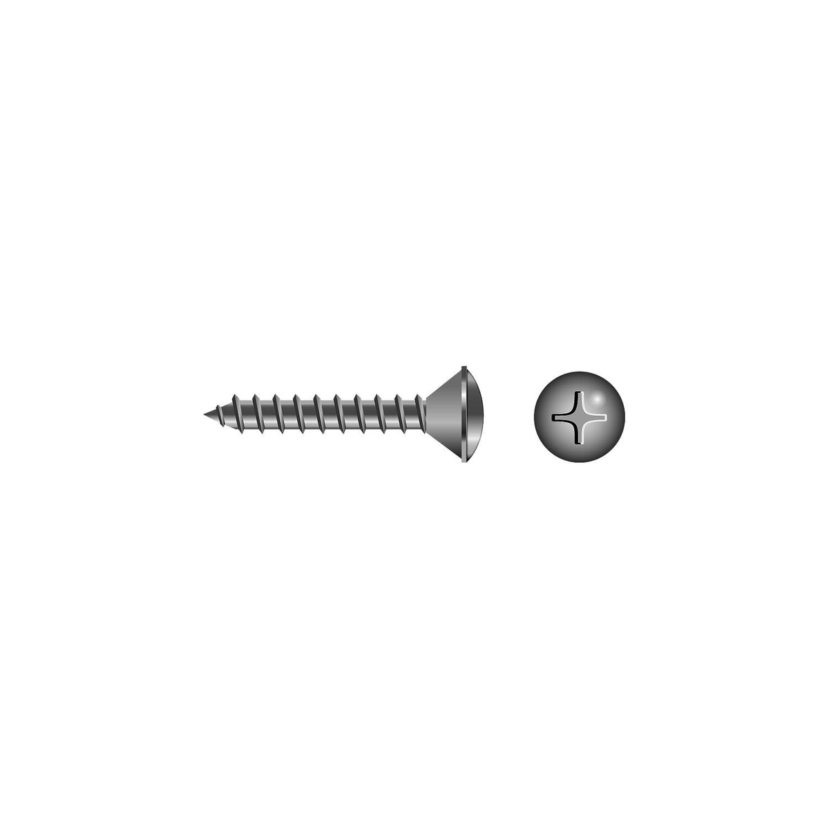 Phillips Tapping Screws - Oval Head, #6 x 1"
