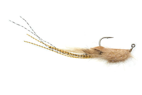 Whalley's Champagne Shrimp