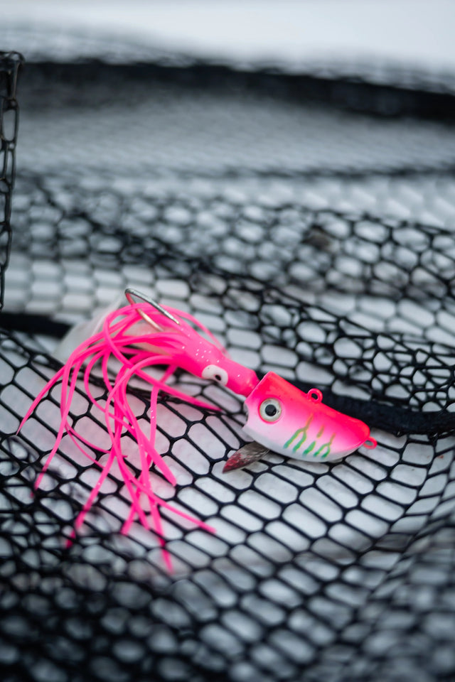 Striper Gear Crawler
