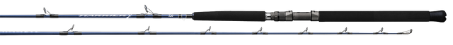 Harrier X Conventional