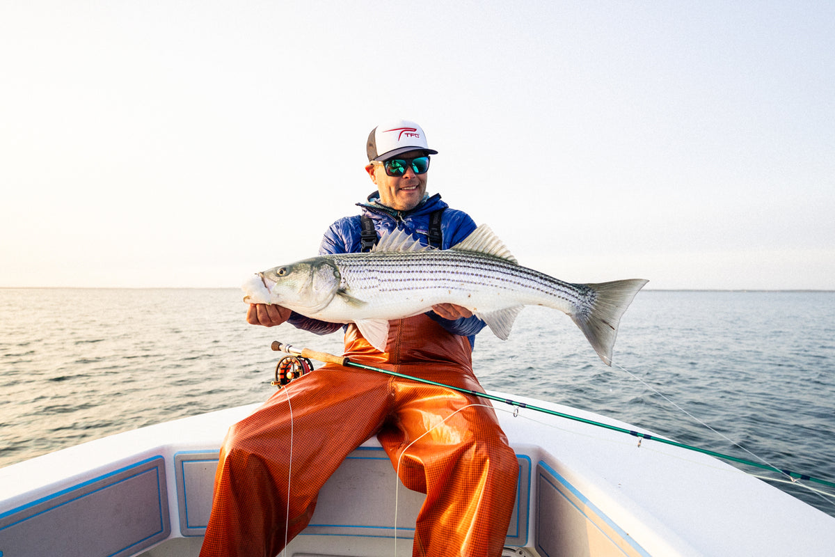 Blitz Fly Rod
