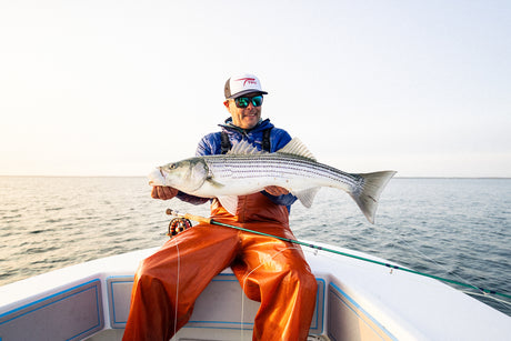 Blitz Fly Rod