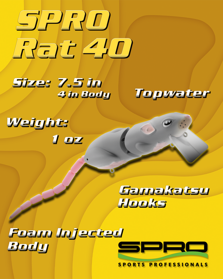 SPRO Rat