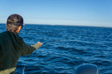Cortland Cold Striped Bass Floating Fly Line