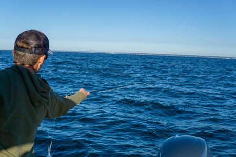 Cortland Cold Striped Bass Floating Fly Line