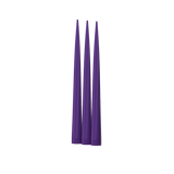 WolfPack 9.5" Ahi Tail