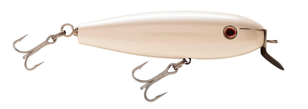 Yellow Star Peanut Swimmer