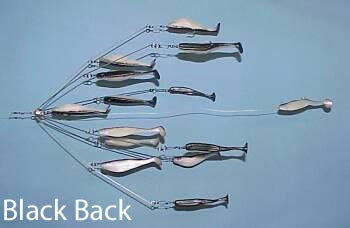 9'ers Umbrellas Rigs