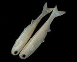 No Live Bait Needed 7" K Tail