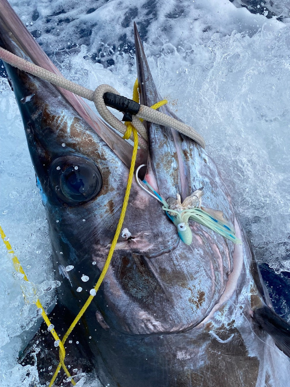 RJ Boyle Swordfish Skirts