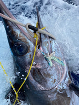 RJ Boyle Swordfish Skirts