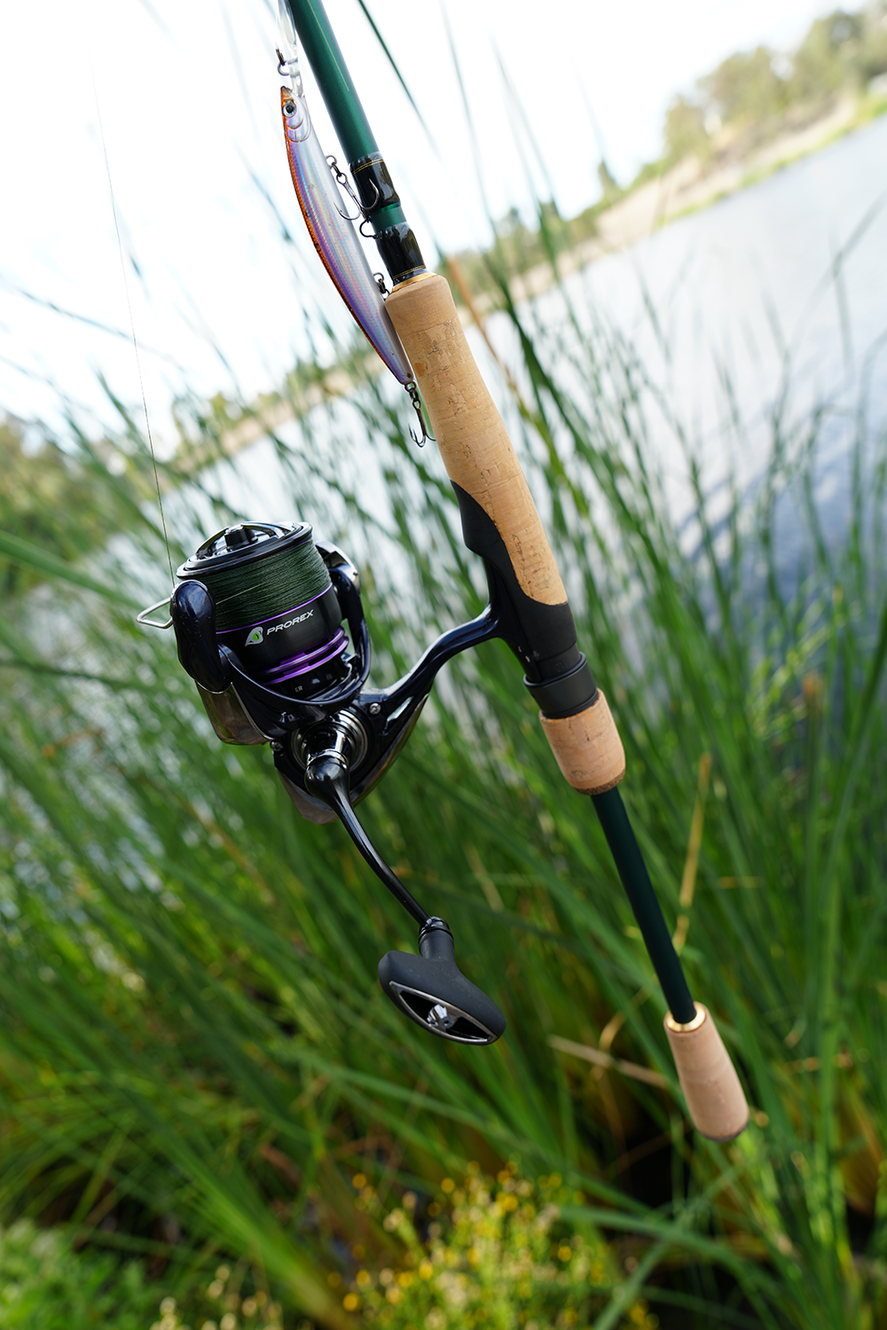 Prorex X LT Spinning Reel